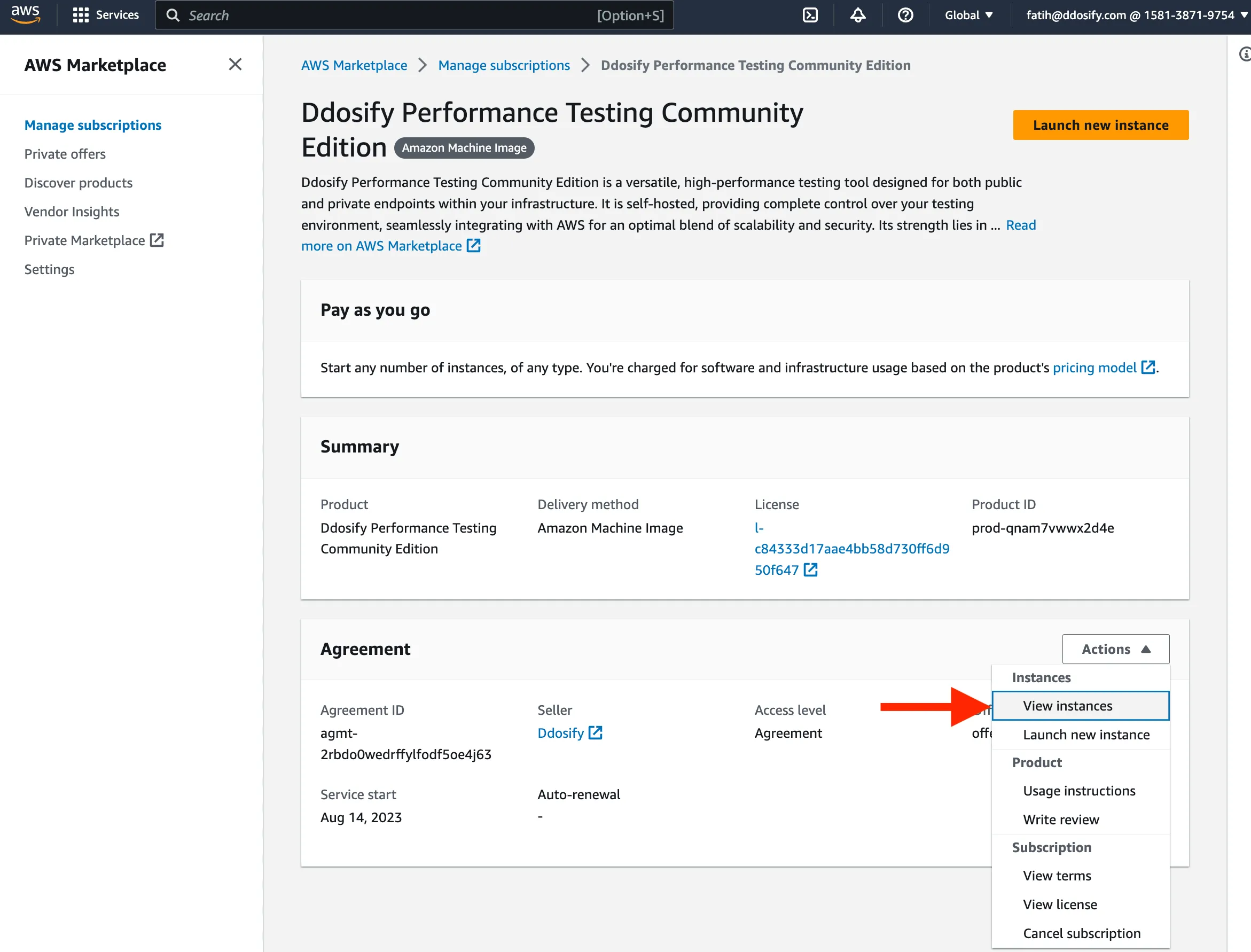 AWS view instances button